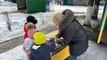 Международный день кормления птиц