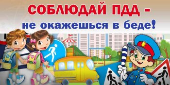 День дорожной грамотности!