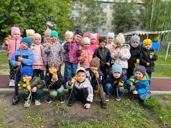 13 мая – Всемирный день одуванчика