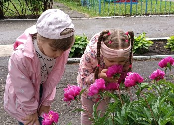 "День растений" в детском саду!