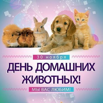 30 ноября - День домашних животных
