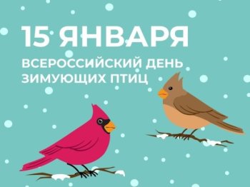 "День зимующих птиц"