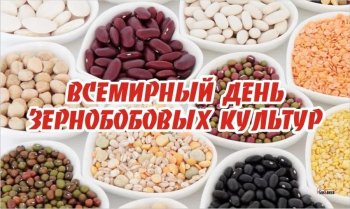 Всемирный день зернобобовых культур