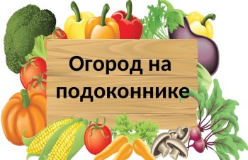 "Огород на подоконнике"